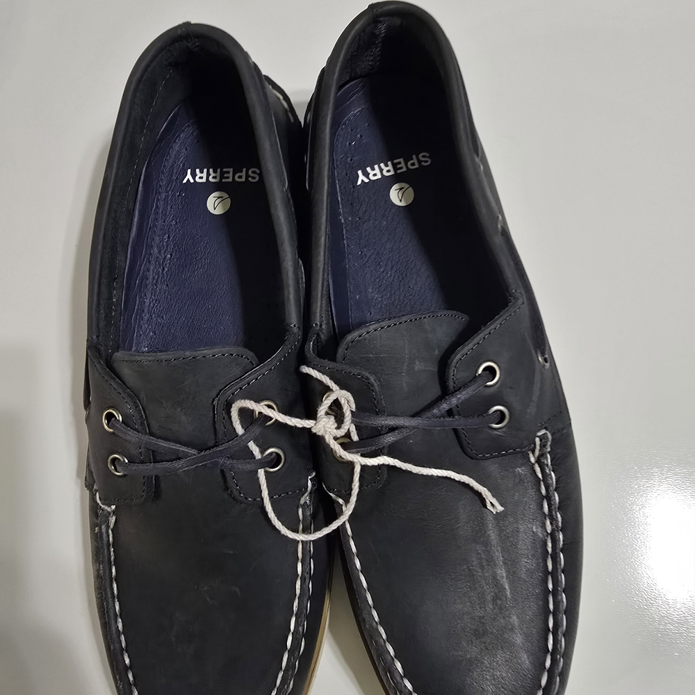 Sperry Men's Dark Blue Boat Shoes